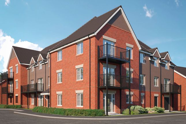 1 bed flat