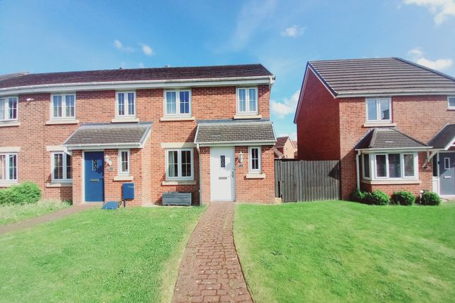 3 bed terraced house