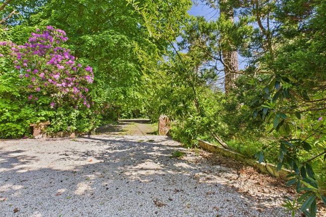 South Drive, Tehidy