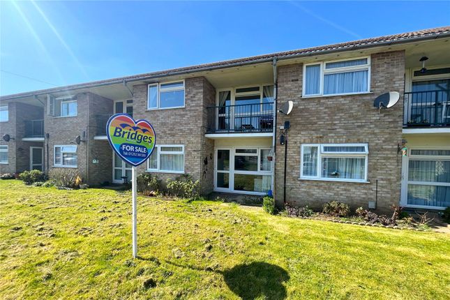 1 bed flat
