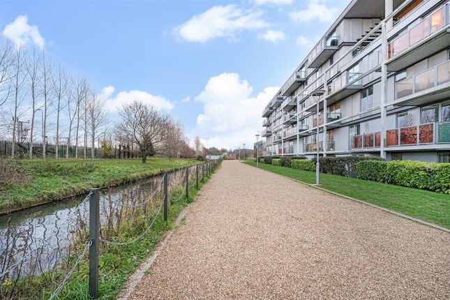 1 bed flat