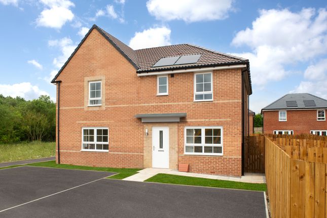 MAIDSTONE at Hollygate Green... 3 bed semi