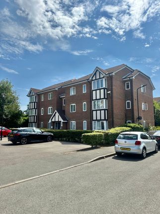 1 bed flat