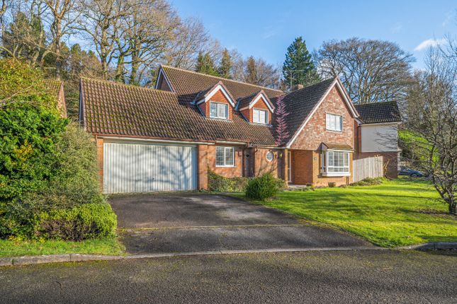 Roedeer Copse, Haslemere, Surrey, GU27 4 bed detached house for sale