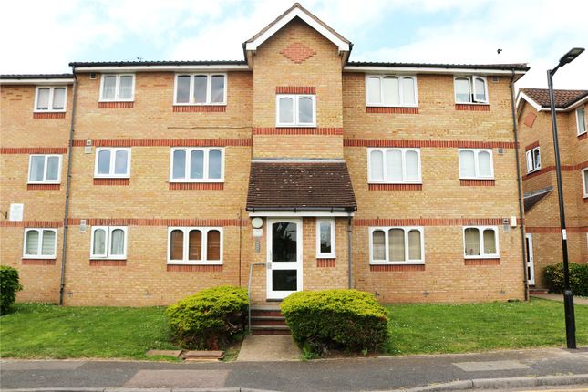 1 bed flat