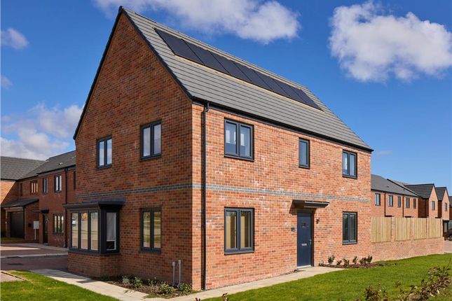 Plot 46, The Beauwood at Seaham... 4 bed detached house for sale