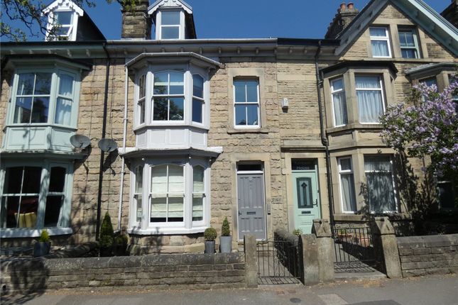1 bed flat