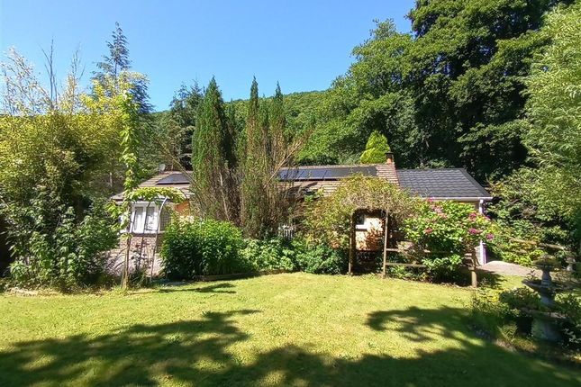 Unmarked Road, Drefach Felindre... 2 bed detached bungalow for sale