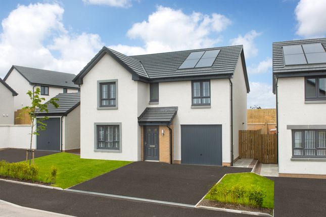 Dean at King's Gallop 14 Pinedale... 4 bed detached house for sale