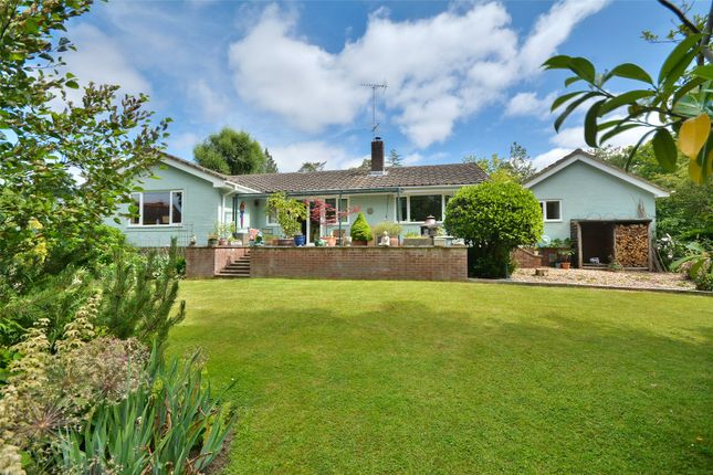 Rambledown Lane, West Chiltington... 3 bed bungalow for sale