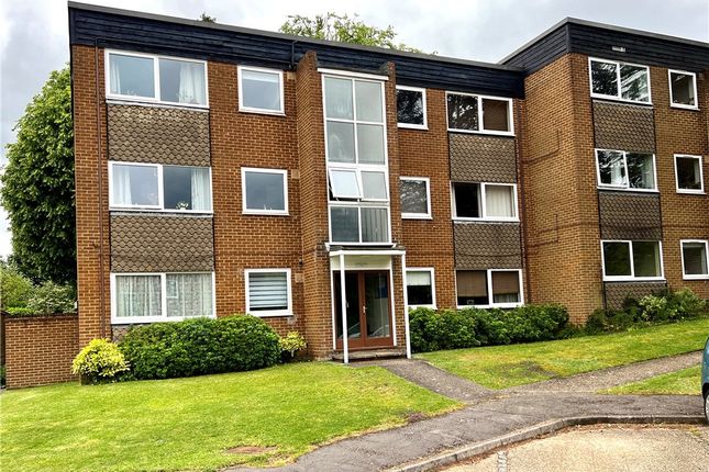 1 bed flat