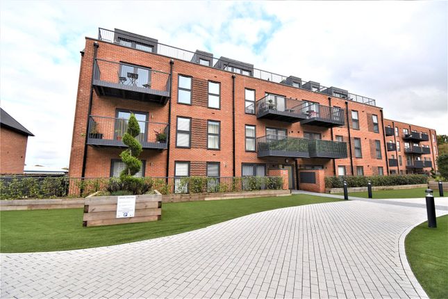 1 bed flat