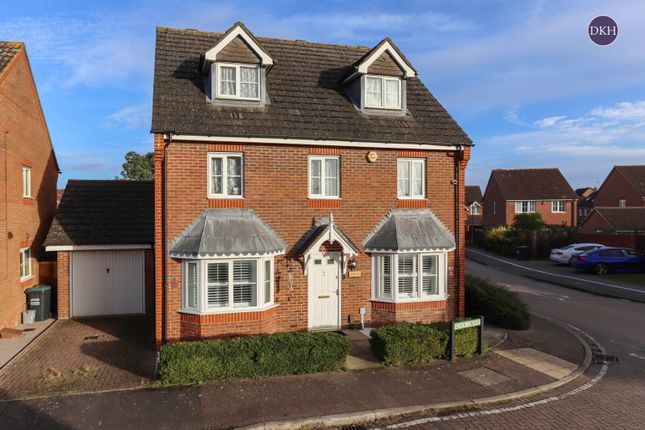 Royce Grove, Watford WD25 5 bed detached house for sale