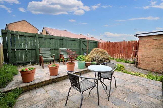 3 bed terraced house