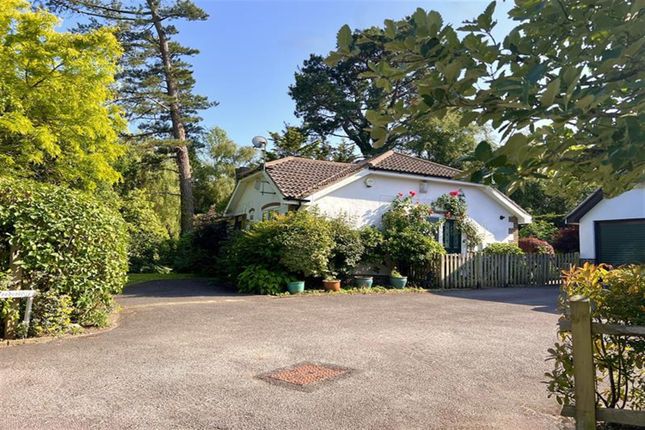 Melrose Place, Storrington, West... 3 bed detached bungalow for sale