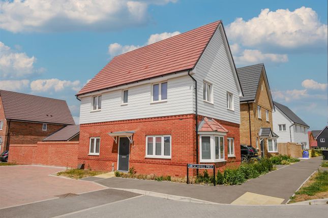 3 bed detached house