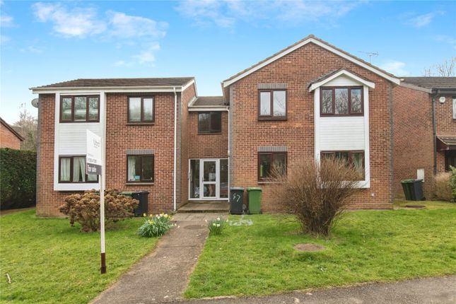 1 bed flat