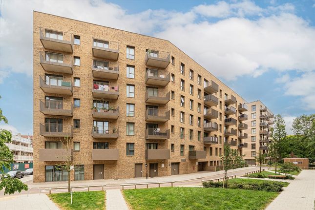 1 bed flat