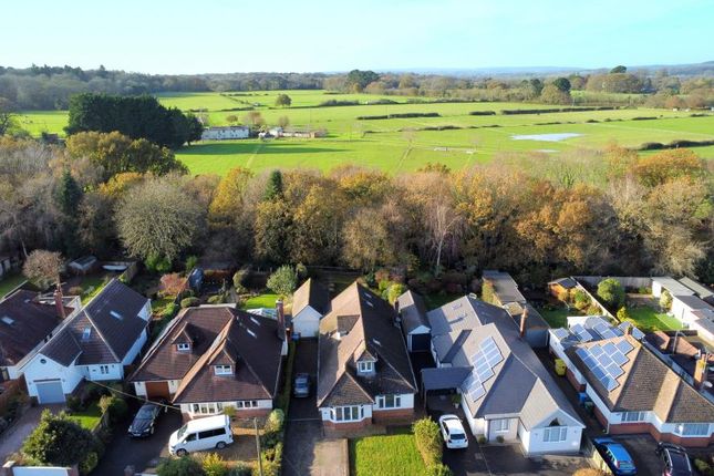 Ivy Road, Wimborne, BH21 1RT 4 bed detached house for sale