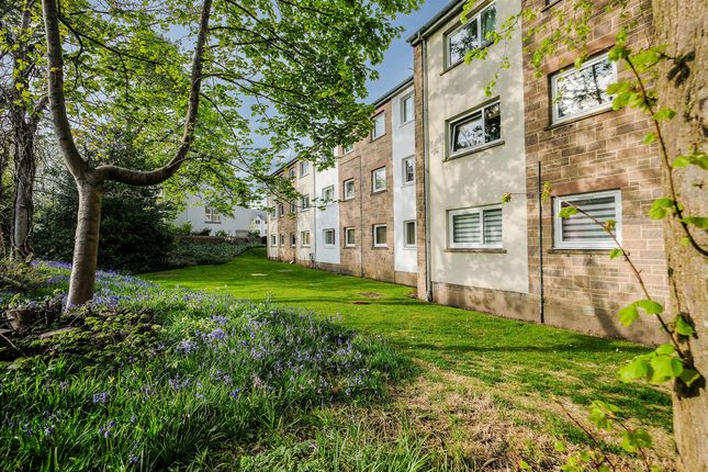 3 bed flat