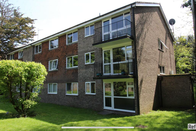 1 bed flat