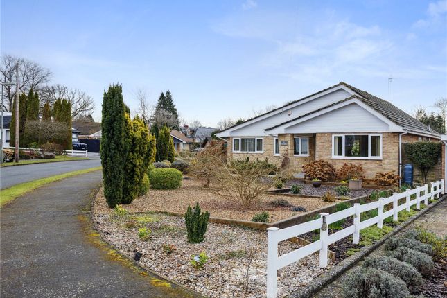 Birch Grove, Cobham, Surrey, KT11 3 bed bungalow for sale