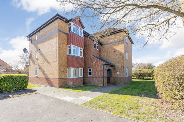 1 bed flat