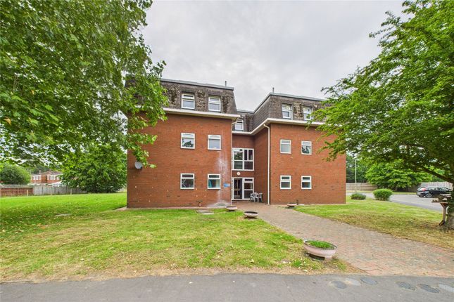 1 bed flat