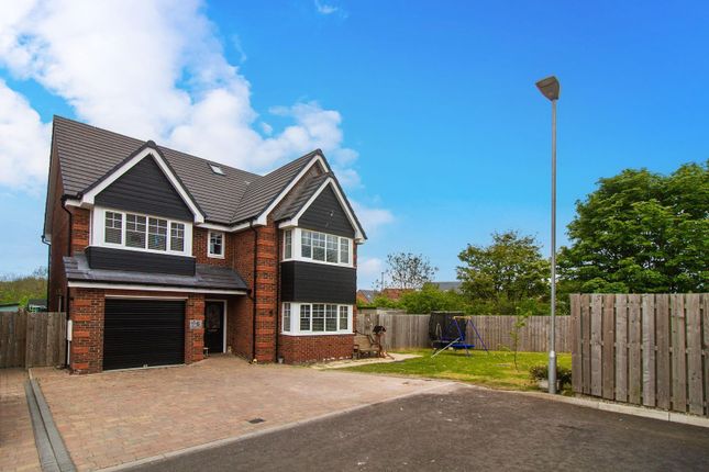 6 bed detached house