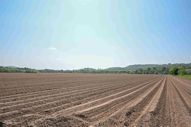 Farm