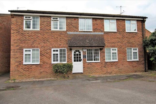 1 bed flat
