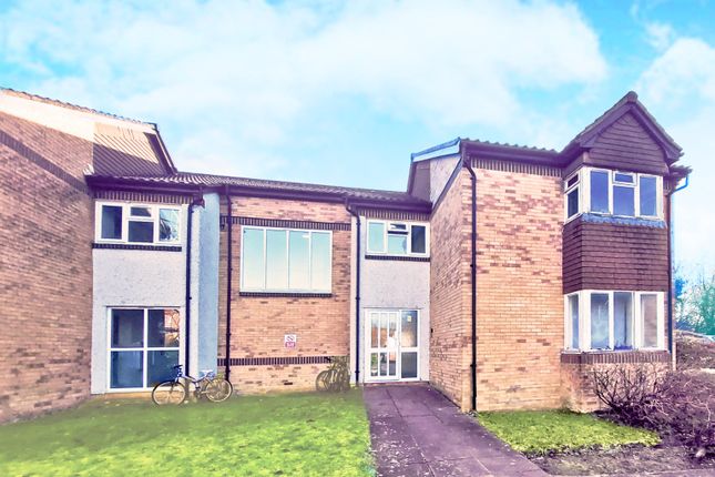 1 bed flat