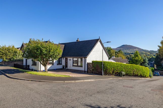 7 Montgomerie Terrace, Gattonside... 4 bed detached bungalow for sale