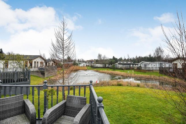 Carnoustie Court, Tydd St Giles... 2 bed lodge for sale