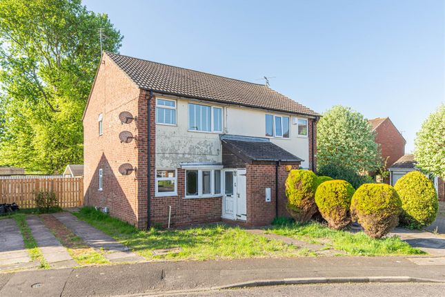1 bed flat