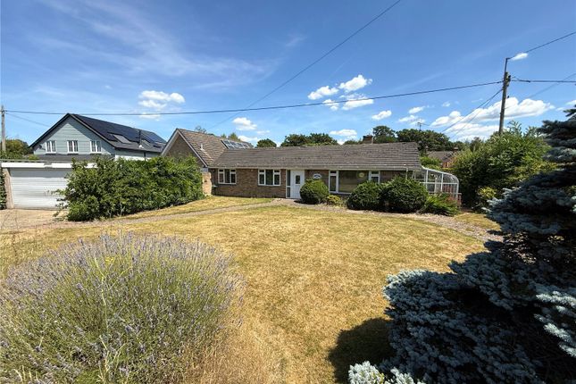 Back Lane, Bucks Horn Oak, Farnham... 4 bed bungalow for sale