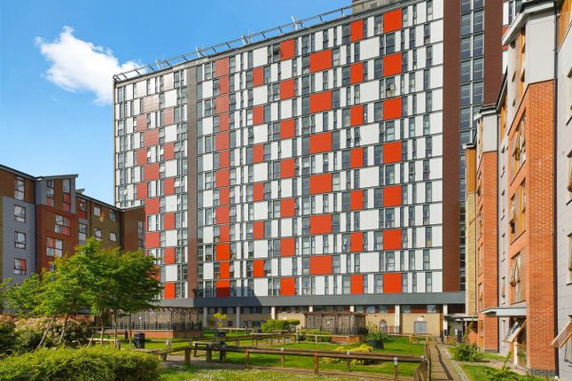 1 bed flat