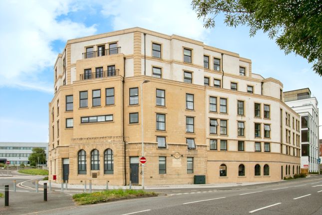 1 bed flat
