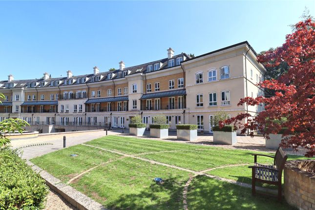 1 bed flat
