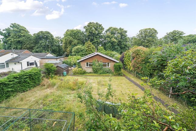 3 bed detached bungalow