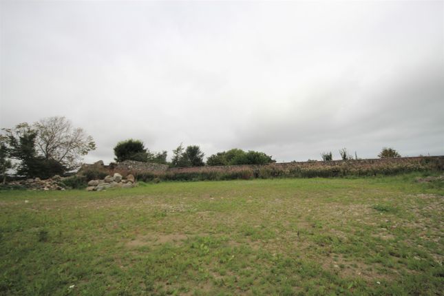 Land