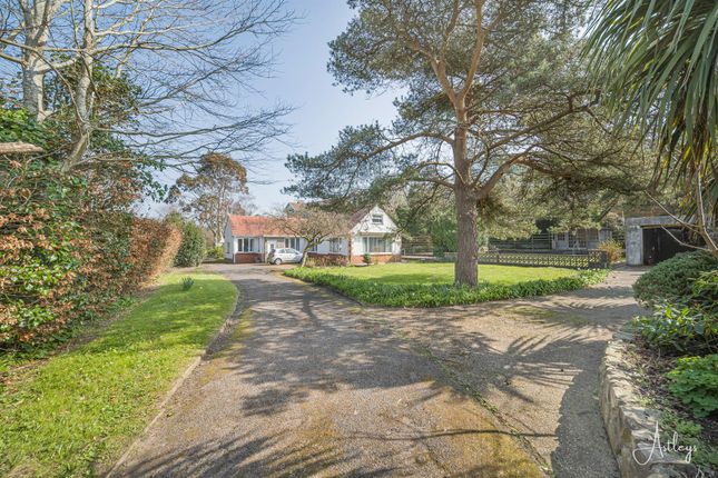 Newton Road, Newton, Swansea 4 bed detached bungalow for sale