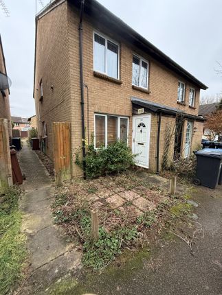 1 bed flat