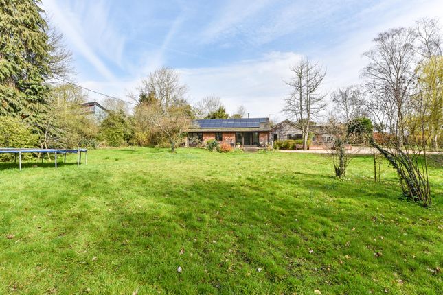 Winchester Road, Petersfield GU32 5 bed detached bungalow for sale