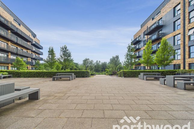 1 bed flat