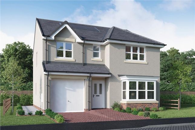 Plot 81, Lockwood at Victoria Wynd... 4 bed detached house for sale