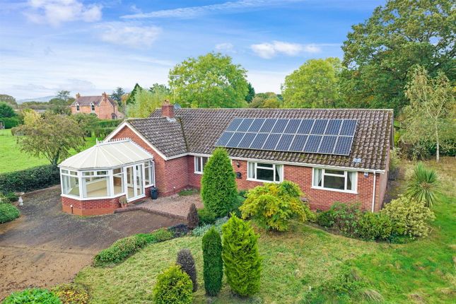5 bed bungalow