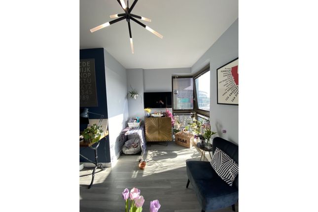 1 bed flat