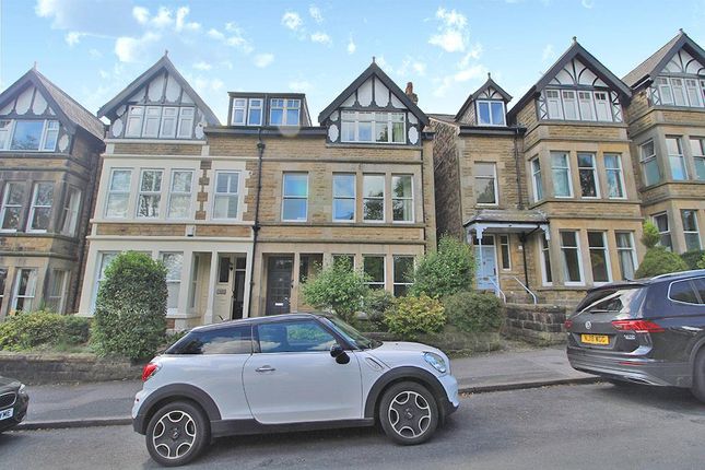1 bed flat