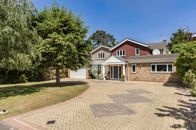 6 bed detached house